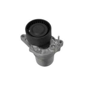 Comprar Tensor de correa poli V de GOOM BT-0082 a bajo precio de 55,36 €