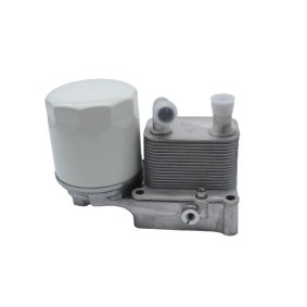 Compre Caja del filtro de aceite de GOOM online para Tourneo Connect Mk1 a precios moderados