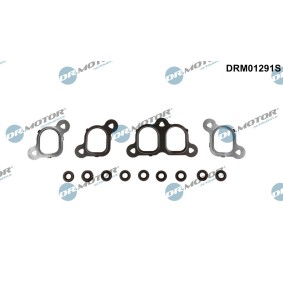Osta Tiivistesarja, imusarja DR.MOTOR AUTOMOTIVE:llä DRM01291S edullisesti hintaan 35,80 €