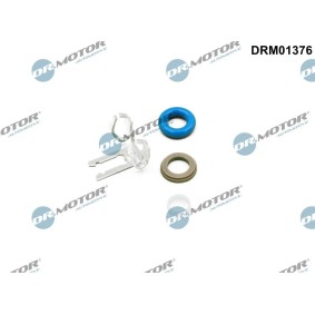 Injektor-Reparatursatz DRM01376