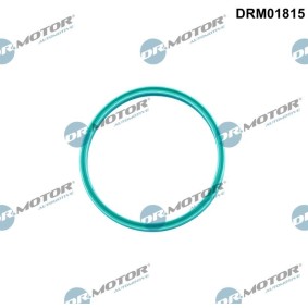 Dichtring, Ladeluftschlauch DRM01815