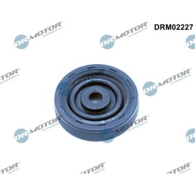 Kurbelwellensimmering von DR.MOTOR AUTOMOTIVE