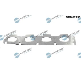 Kjøp Tetning, eksosmanifold av DR.MOTOR AUTOMOTIVE DRM02250 til den lave prisen 302,80 NOK