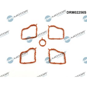 Dichtungssatz, Zylinderkopfhaube DRM02256S