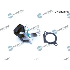 AGR-Ventil DRM121107