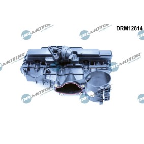 Ansaugbrücke DRM12814