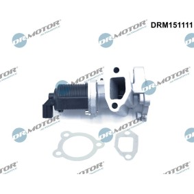 Compre Válvula egr de DR.MOTOR AUTOMOTIVE online para SWIFT IV (FZ, NZ) a preços moderados