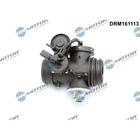 AGR-Ventil DRM161113