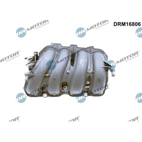 Ansaugbrücke DRM16806