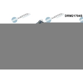 Achetez des Pompe à eau DR.MOTOR AUTOMOTIVE DRM21704S à prix pour 290,91 €