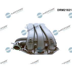 Ansaugbrücke DRM21821 für Mii (KF1_) für 202,25 CHF
