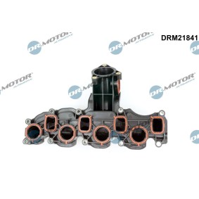 Ansaugbrücke DRM21841