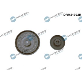 Køb Membran, krumtaphus-udluftning af DR.MOTOR AUTOMOTIVE DRM21922R til den lave pris 259,86 DKK