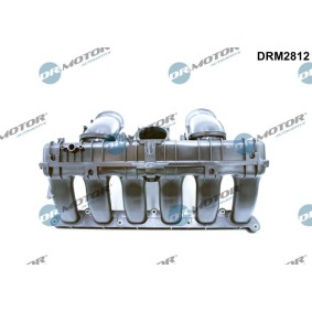 Ansaugbrücke DRM2812