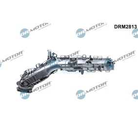 Ansaugbrücke für BMW von DR.MOTOR AUTOMOTIVE