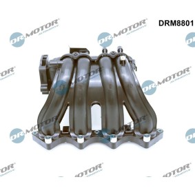 Ansaugbrücke DRM8801