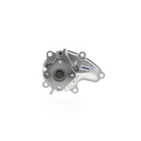 Achetez des Pompe à eau AISIN WPN-009 à prix pour 38,07 €