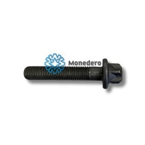 Comprar Tornillo de biela de MONEDERO 20019000021 a bajo precio de 1,33 €