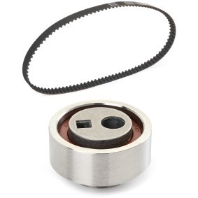 Achetez des Kit de distribution RIDEX PLUS 307T0058P à prix pour 35,85 €