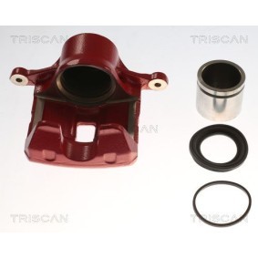Bremssattel 8175 82105