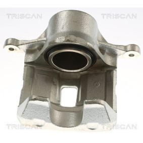 Bremssattel 8175 82108