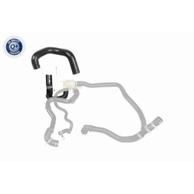 Compre Tubo de radiador de VAICO online para Discovery III (L319) a preços moderados