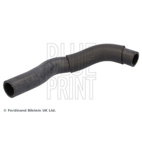 Acquista Manicotto radiatore da BLUE PRINT online per Yaris Hatchback (_P13_) a prezzi moderati