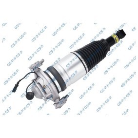 Achetez des Amortisseur pneumatique GSP 30900251 à prix pour 408,09 €