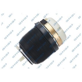 Comprar Muelle neumático, suspensión de GSP 35100050 a bajo precio de 132,28 €
