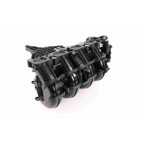 Aktivkohlefilter, Tankentlüftung A70-77-0095 von ACKOJA günstig für 303,35 € online kaufen