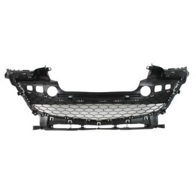 Kühlergrill 6502-07-3477991P