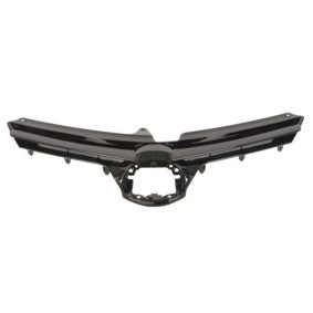 Kühlergrill 6502-07-8139991P
