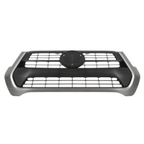 Kühlergrill 6502-07-8176990P