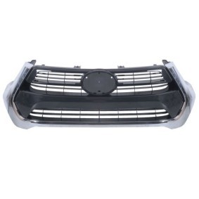 Kühlergrill 6502-07-8176991P