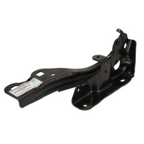 Scharnier, Motorhaube 6802-00-2504451P