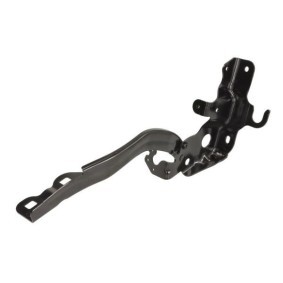 Scharnier, Motorhaube 6802-00-2504452P