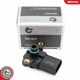 Ladedrucksensor 17SKV183