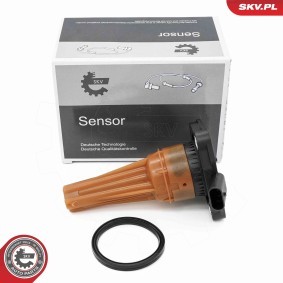 Sensor, Motorölstand 17SKV942