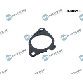 AGR-Ventil-Dichtung DRM02198