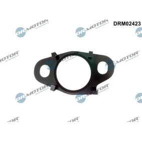 Dichtung, Leitung AGR-Ventil DRM02423