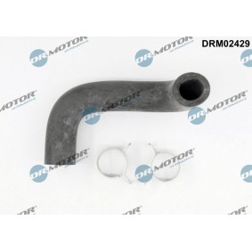 Köp Slang, vevhusventilation av DR.MOTOR AUTOMOTIVE DRM02429 till det låga priset 316,49 kr
