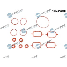 Comprar Juego de juntas, colector de admisión de DR.MOTOR AUTOMOTIVE DRM0587SL a bajo precio de 33,93 €