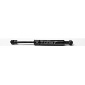 Heckklappendämpfer 24967