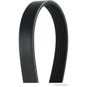 Achetez des Courroie Poly-V HERTH+BUSS JAKOPARTS J1061738 à prix pour 20,14 €