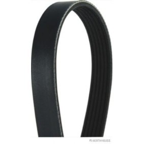 Achetez des Courroie Poly-V HERTH+BUSS JAKOPARTS J1062155 à prix pour 26,69 €
