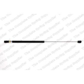 Compre Maletero de LESJÖFORS online para 806 Furgoneta (AF) a precios moderados