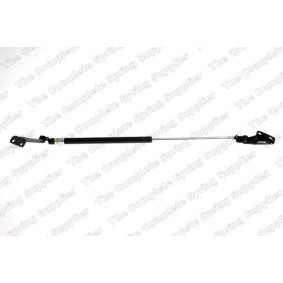 Compre Maletero de LESJÖFORS online para Sunny III Hatchback (N14) a precios moderados