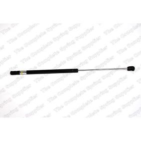 Kofferraum von LESJÖFORS für Cavalier Mk II CC (J82) günstig online kaufen