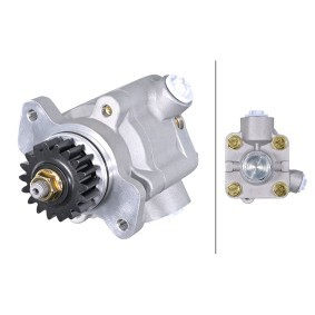 Servopumpe für DAF von HELLA