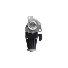 AGR-Ventil 703201